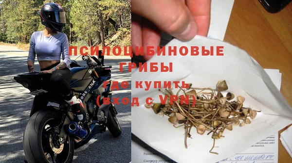 экстази Белокуриха