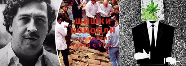 экстази Белокуриха