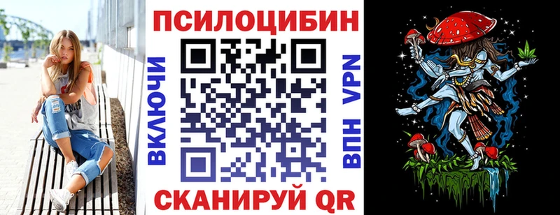 цены   Кущёвская  Псилоцибиновые грибы Psilocybe 